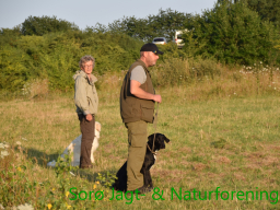 Hundetræning efterår 2015
